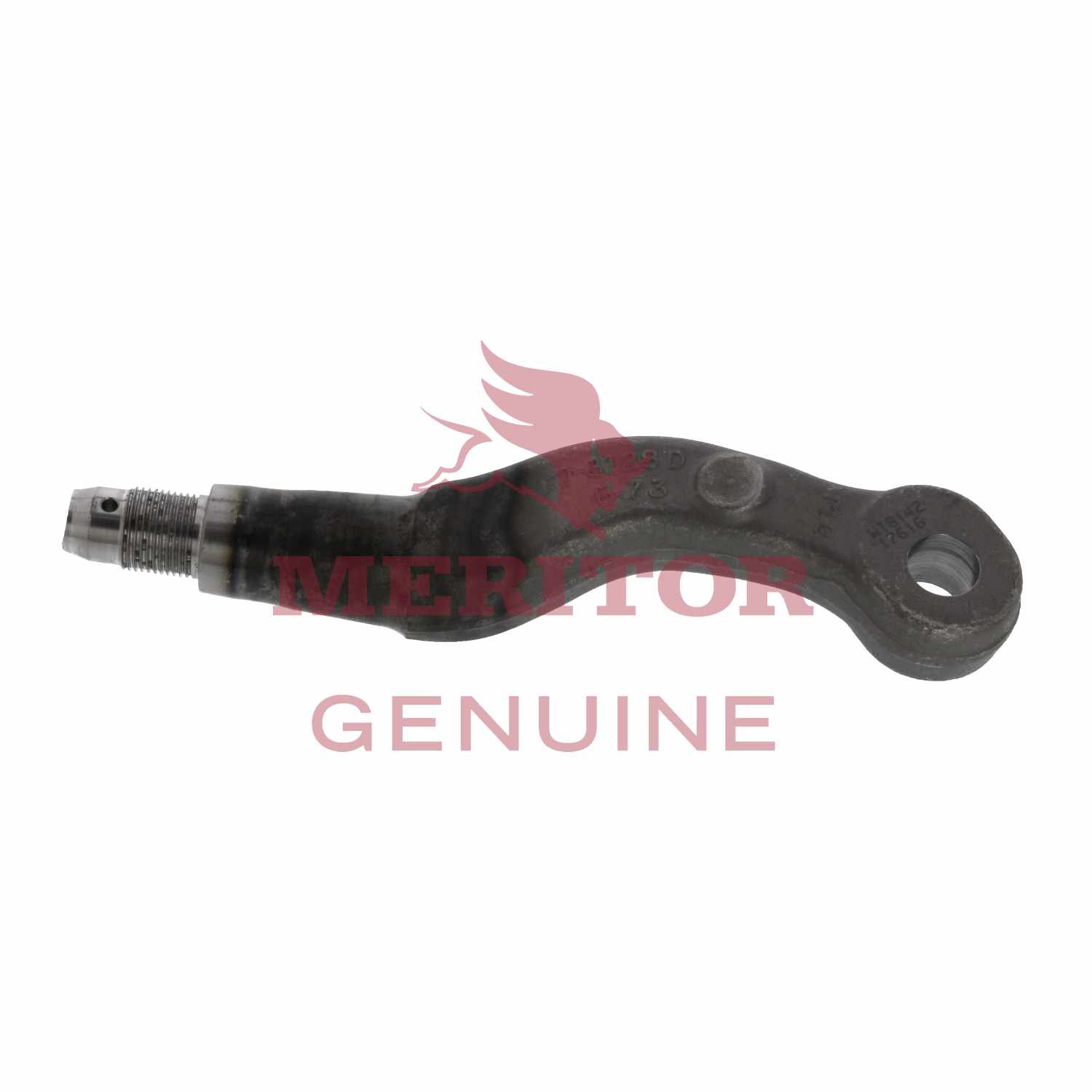 TRiNiDAD Ricardo2 トリニダード　リカルド2 TRiNiDAD Ricardo2 トリニダード リカルド2 71ehdikdFGL._UF894