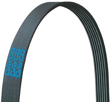 柔らかな質感の 5060640 Belts Rib® Poly - Dayco - トップス