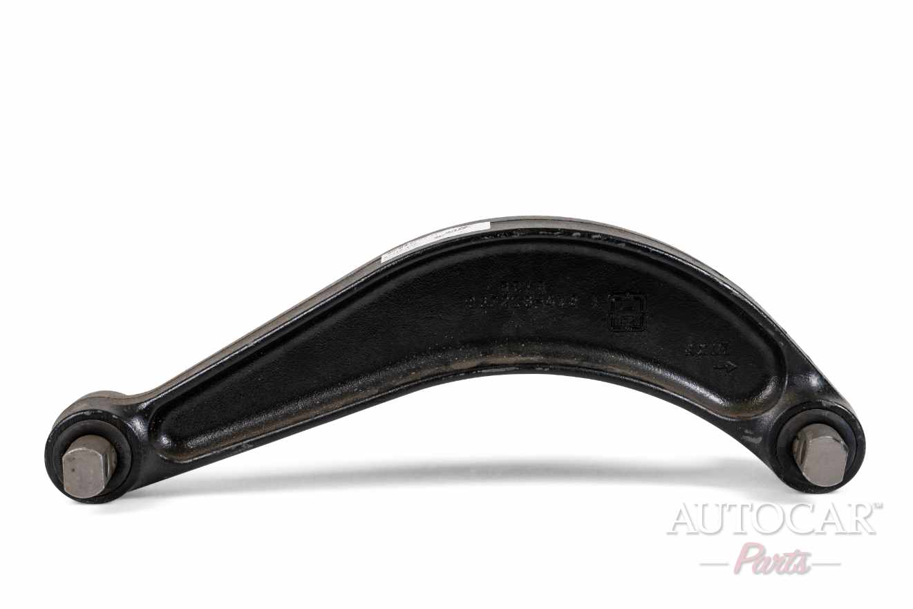 チェス CH128 BROWN 54cm SZACHY チェス盤チェス駒セット Poland Am