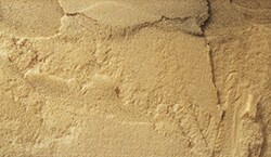 Polyurethane Foam
