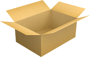 Cardboard Box